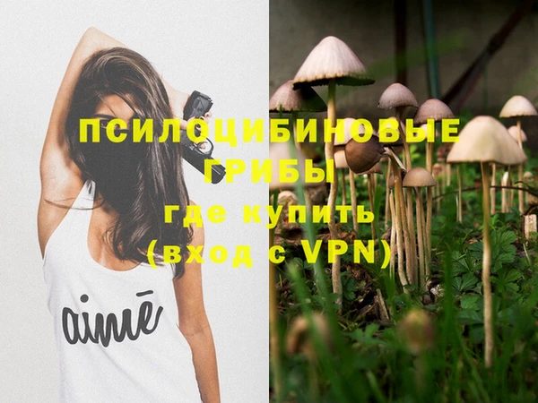 ALPHA-PVP Белокуриха