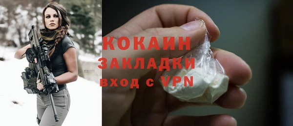 крисы Баксан