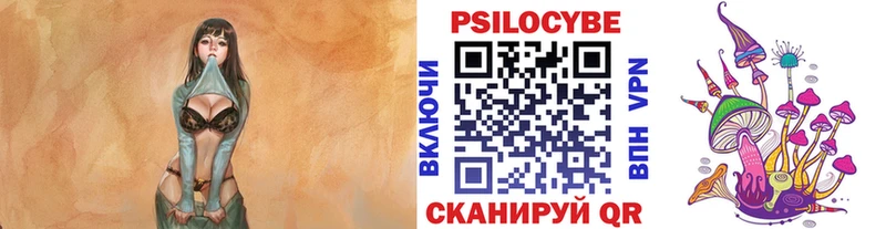 где продают   Макушино  Галлюциногенные грибы Cubensis 